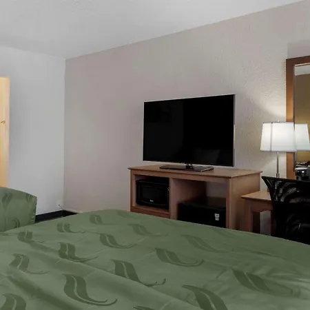 Quality Inn Saint Petersburg North-Tampa Bay-2